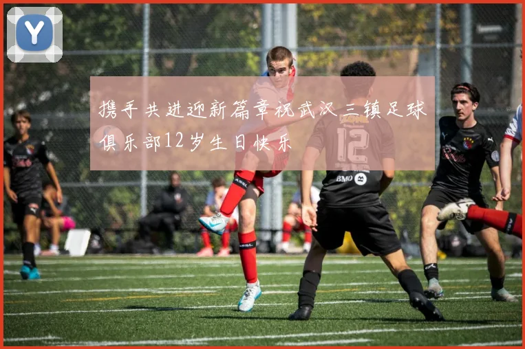 携手共进迎新篇章祝武汉三镇足球俱乐部12岁生日快乐