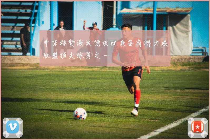 申京称赞谢泼德攻防兼备有潜力成联盟顶尖球员之一