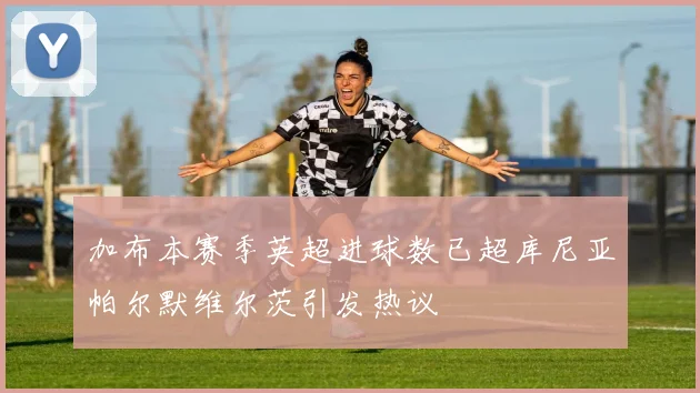 加布本赛季英超进球数已超库尼亚帕尔默维尔茨引发热议