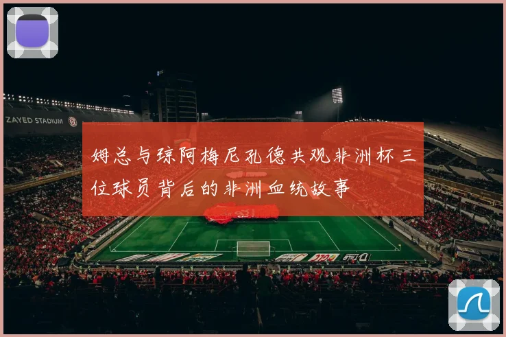 姆总与琼阿梅尼孔德共观非洲杯三位球员背后的非洲血统故事