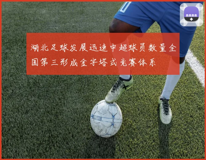 湖北足球发展迅速中超球员数量全国第三形成金字塔式竞赛体系