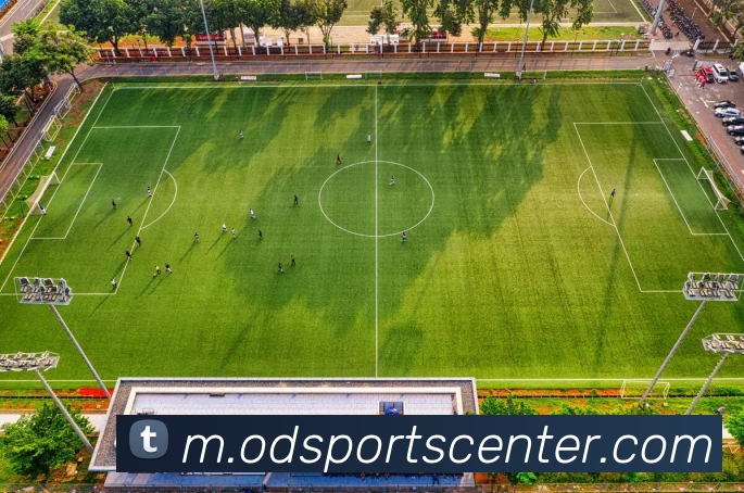 多媒体互动体验